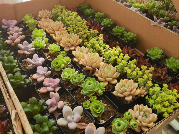 微信图片_2025-10-08_182504_609.png